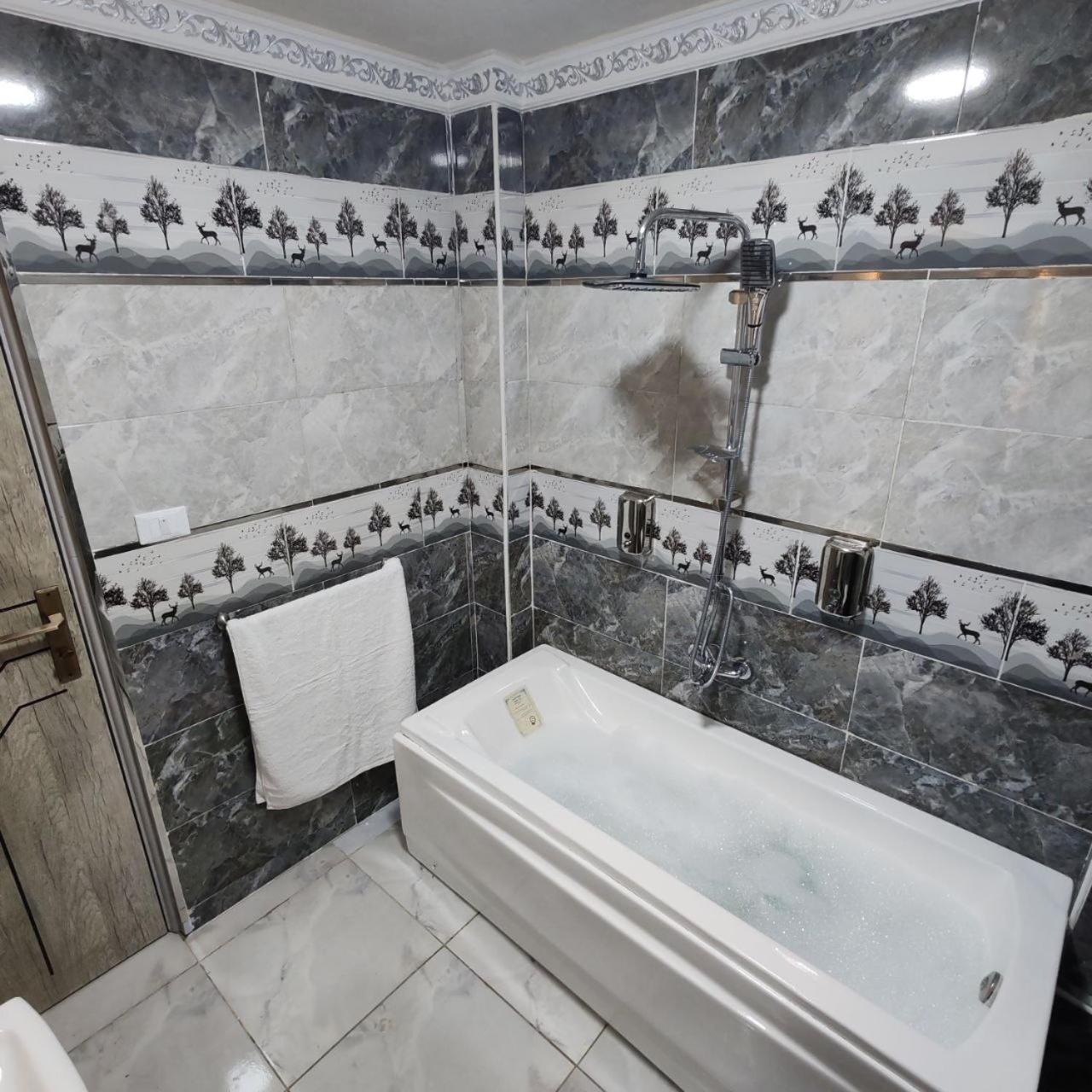 Del Cileo Great Hotel Каир Экстерьер фото